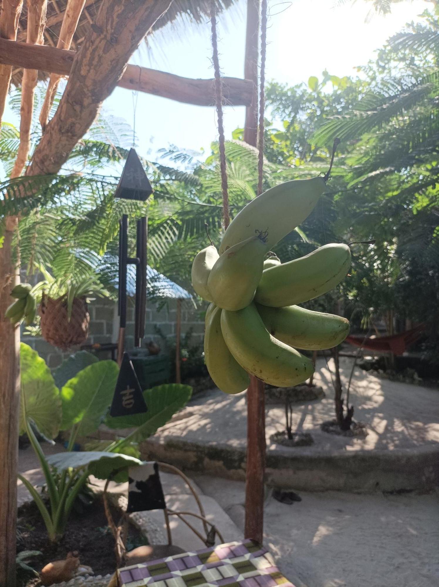 Mamarasta Bed & Breakfast บูจู ภายนอก รูปภาพ